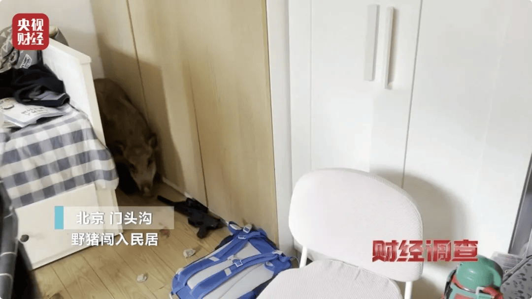 已确认，当场击毙！