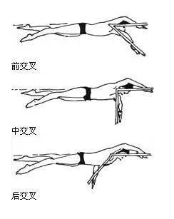 泳笔顺图片