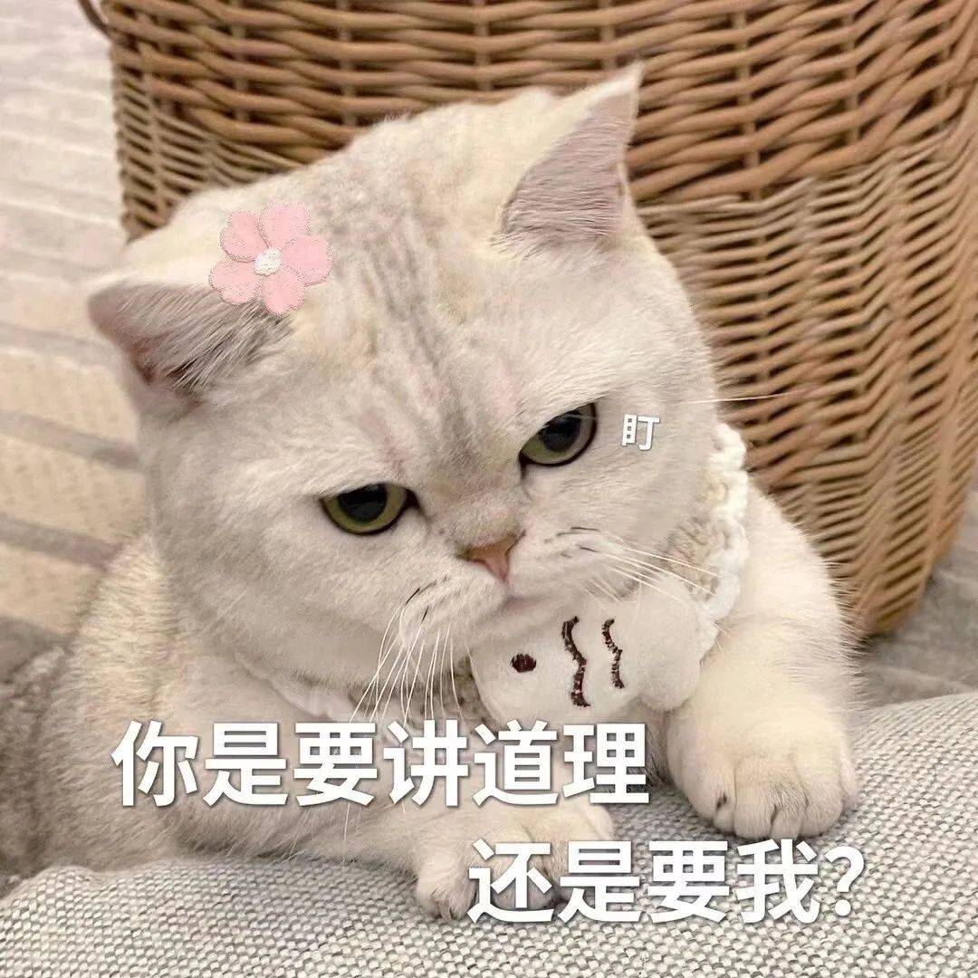 撒娇表情包:让我摸一下