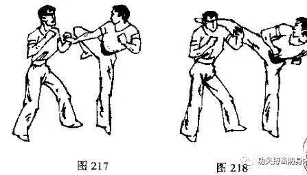 散打:拳法腿法组合实战教学