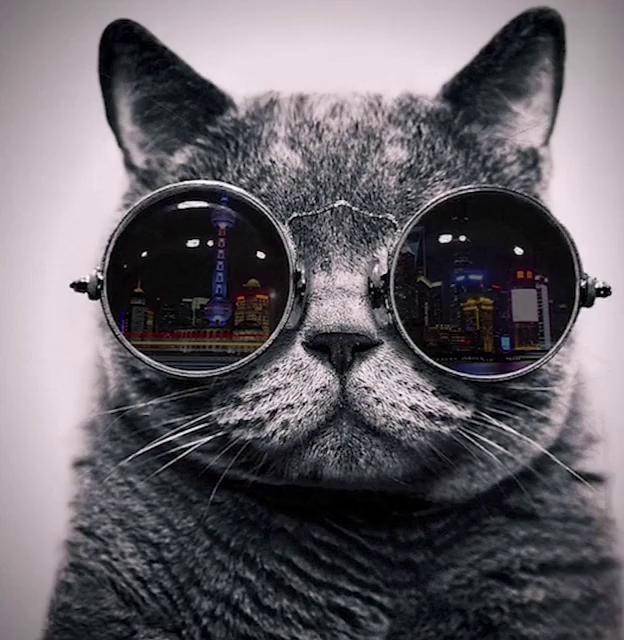 我的选择我的路 ps墨镜反射效果