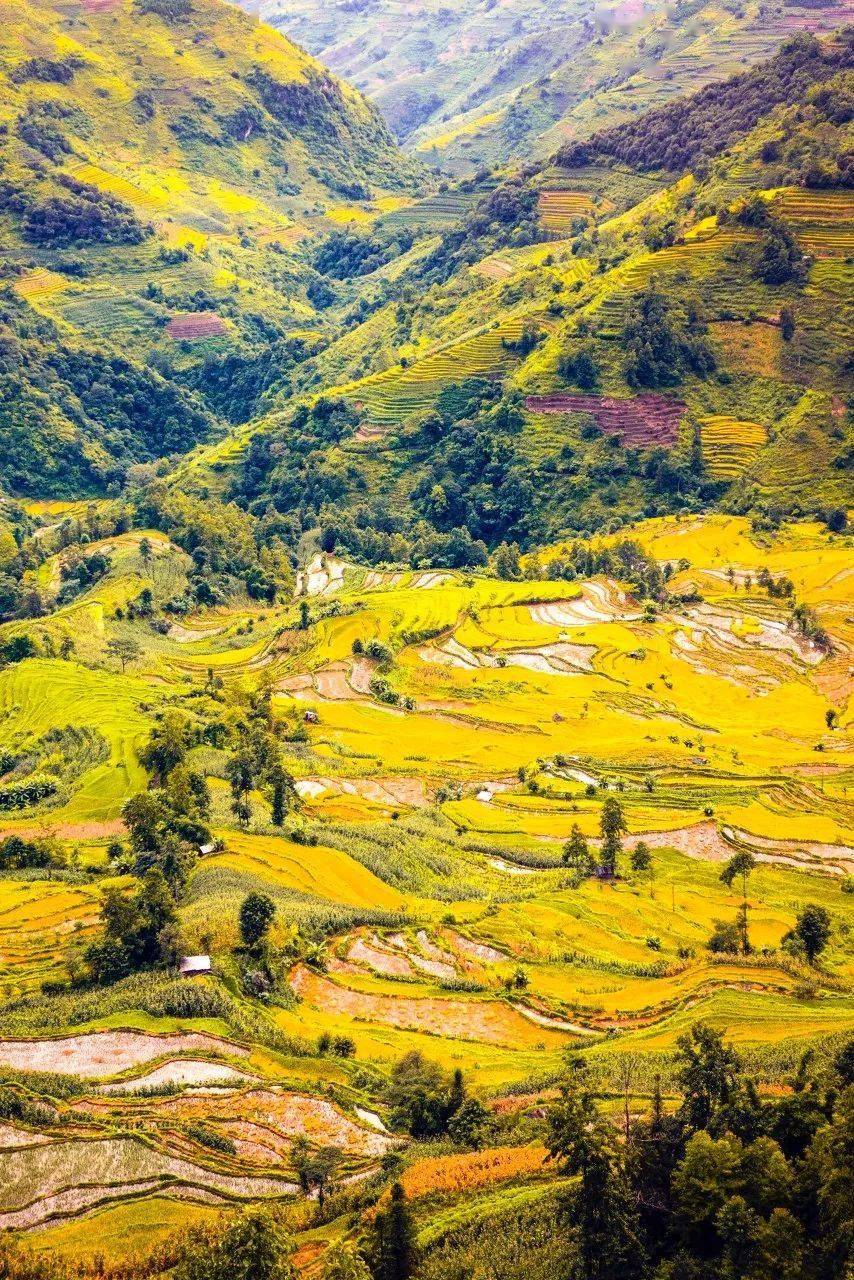 图片[55]-十二月最佳旅行地非它莫属，看银杏逛古城吃美食，现在去正好！ -华闻时空