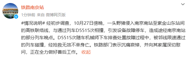 揪心！官方确认：她已不幸身亡……