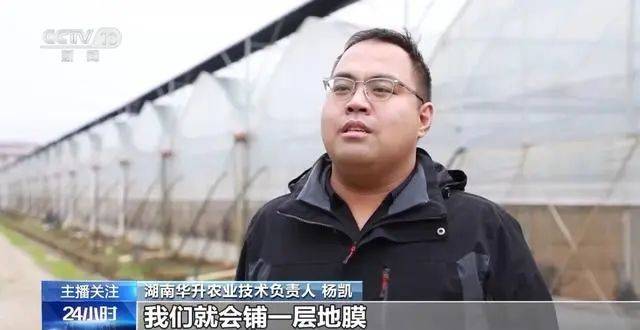 华体会网址蔬菜也要盖棉被寒潮下蔬菜如何稳产保供？(图7)