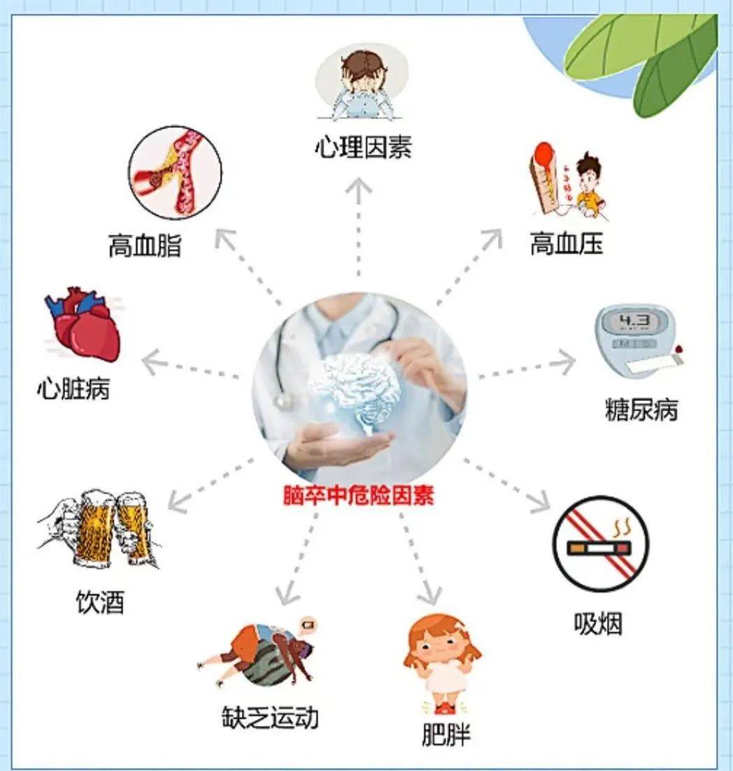 【健康科普】脑卒中预防