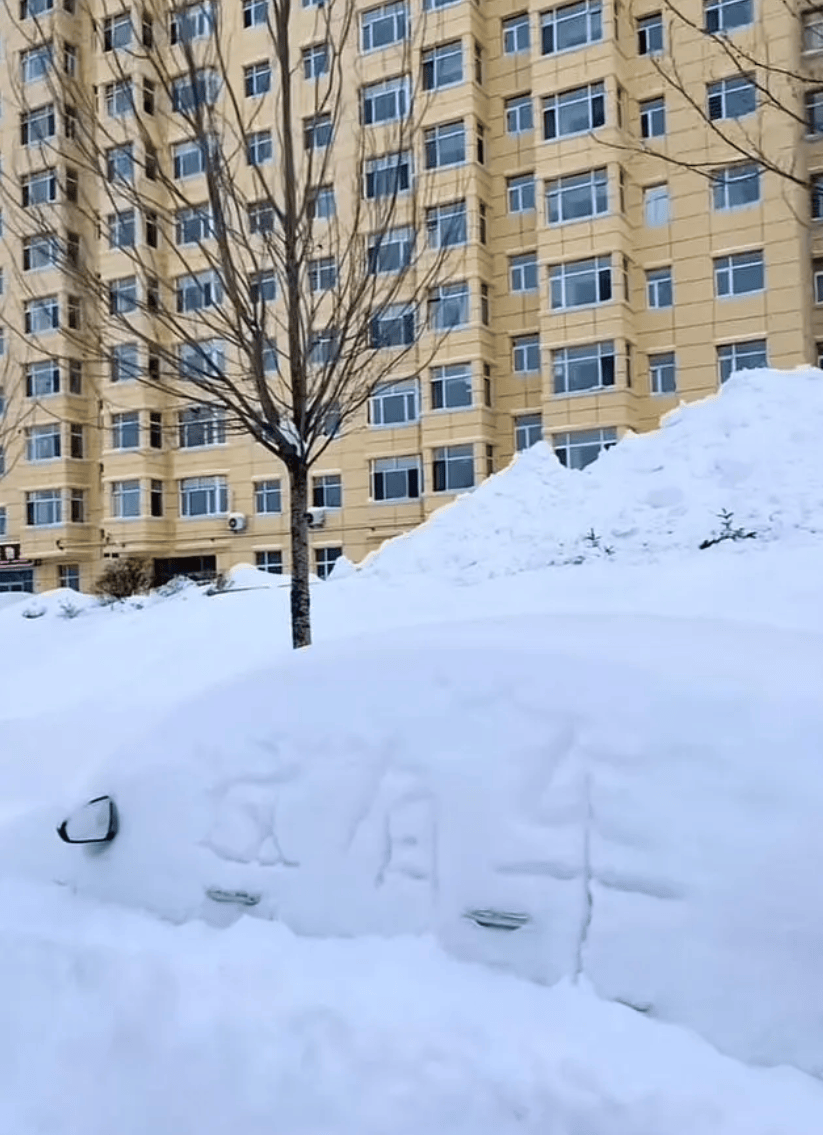 鹤岗暴雪过后，车主开启挖宝寻车模式