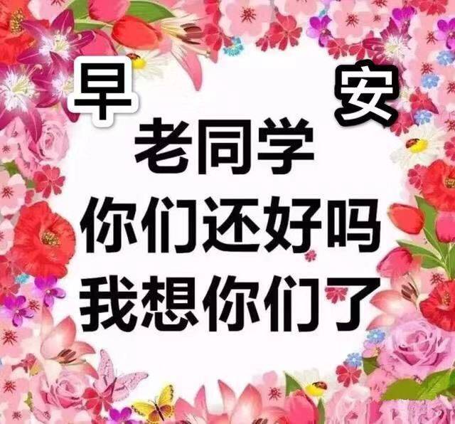 老同学早上好图片大全,天冷了,记得好好把自己照顾