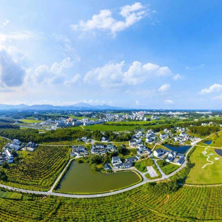 他山之石 | 安徽省潜山市黄铺村:菊美稻香 诗画田园_刘鑫泽_郑钦云_黄铺镇