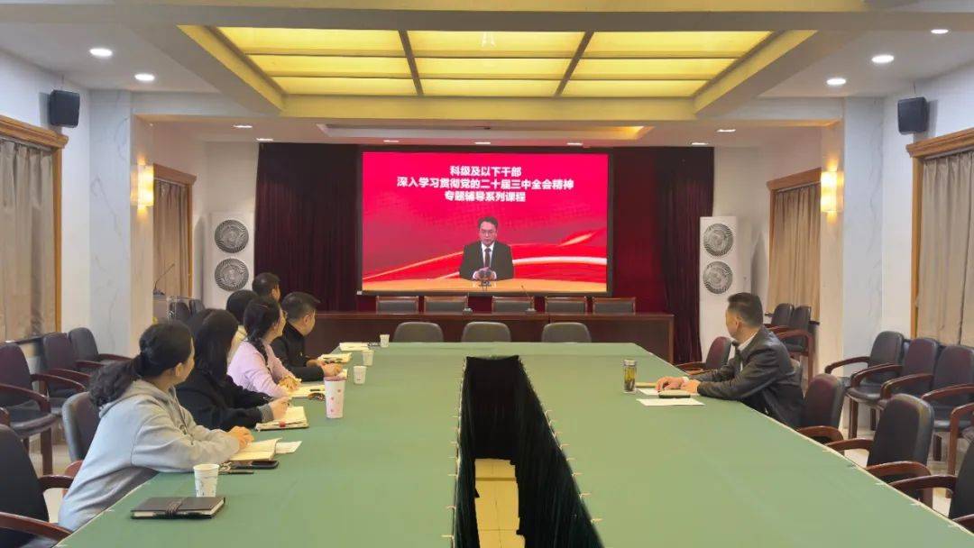 区工商联党支部开展学习贯彻党的二十届三中全会精神培训课程集中学习