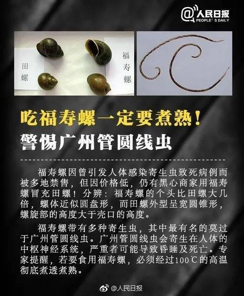 香螺寄生虫图片