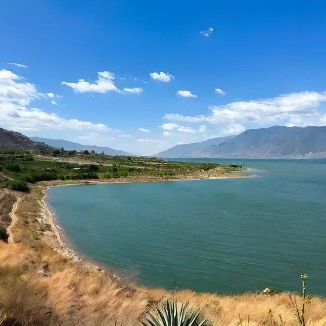 程海湖保护与绿色康养共谱高质量发展新篇章_旅游_永胜_治理