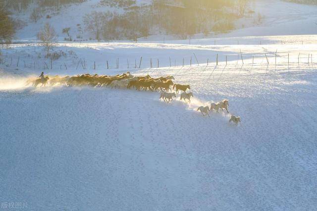 图片[16]-一路向北去看雪，6大赏雪胜地不可错过！国内雪景天花板都在这！ -华闻时空