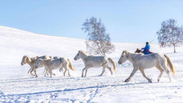 图片[18]-一路向北去看雪，6大赏雪胜地不可错过！国内雪景天花板都在这！ -华闻时空