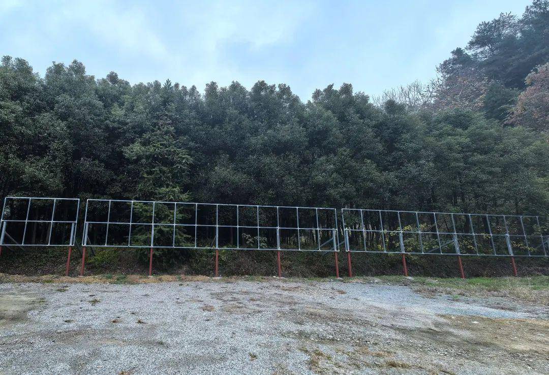 药王谷“抗癌中心”调查:开诊一个月15人死亡 20人病情加重(图8)