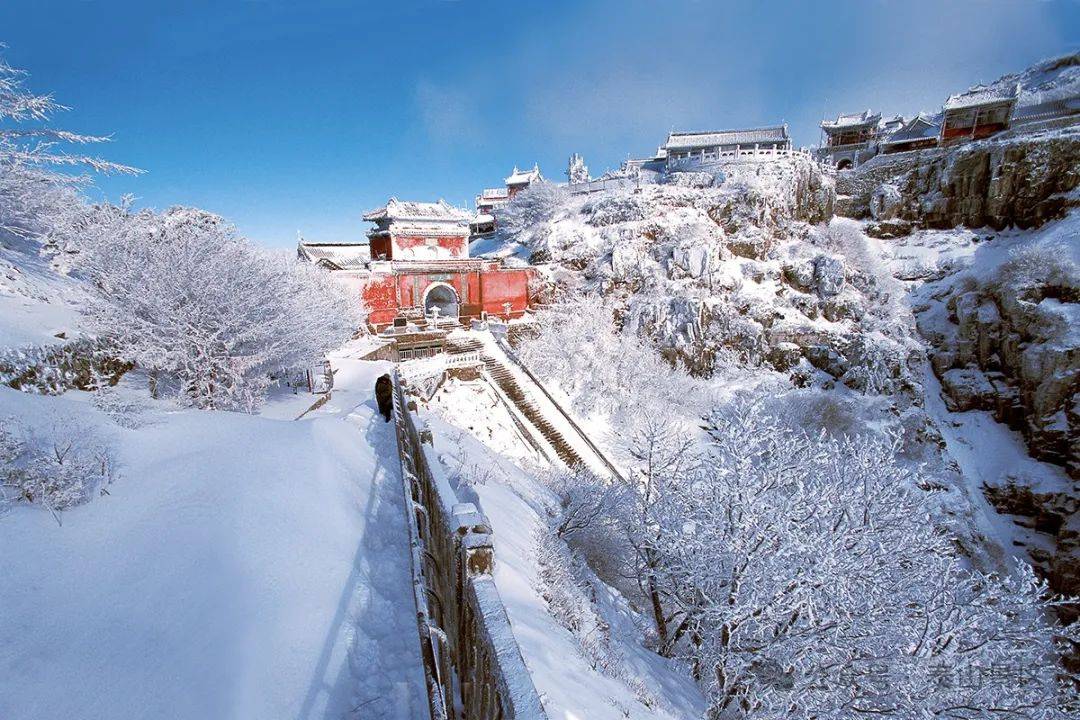 泰安雪景图片