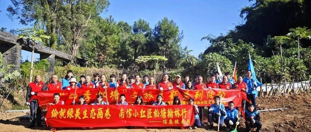 奋进“百千万工程”|“四季松塘”松林养护志愿行，共筑松塘文旅发展新篇章