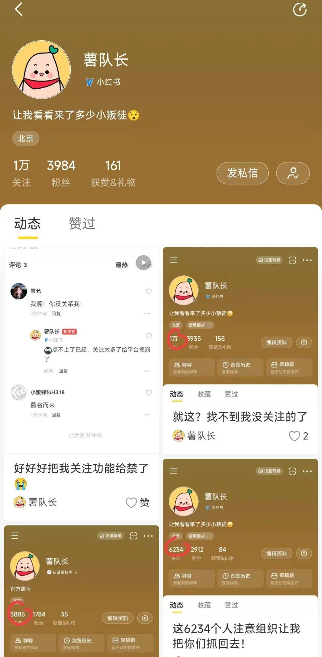 小红书弃子，逐梦网易小蜜蜂