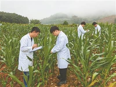 利博体育娱乐官网入口网址查询（官网）
