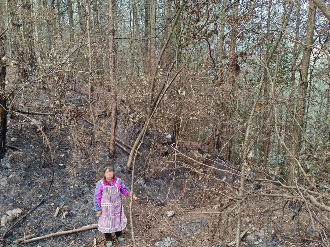 贵州一女子故意放火烧山被刑拘:心想救援队扑火后留下大量塑料瓶,可卖瓶子获利 贵州一女子故意放火烧山被刑拘:心想救援队扑火后留下大量塑料瓶,可卖瓶子获利