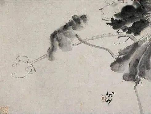八大山人画荷花水鸟，潇洒淋漓_搜狐网