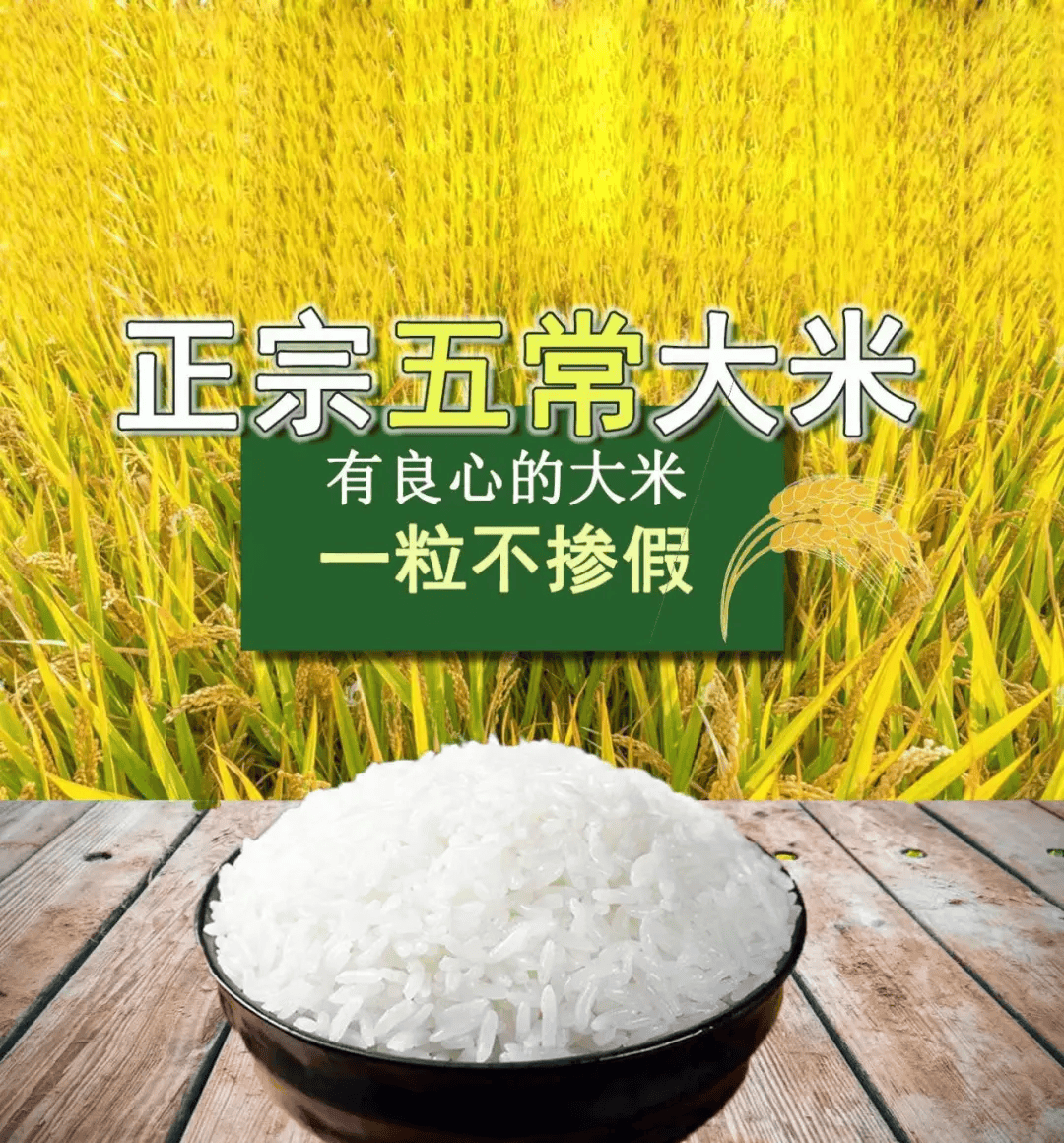 2024年五常新米上市啦,产地直发,厨友都抢着囤的,空口吃都香!
