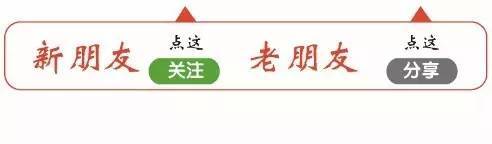 【专业】斜视的影像学检查技术—《斜视的影像学检查》(图4)