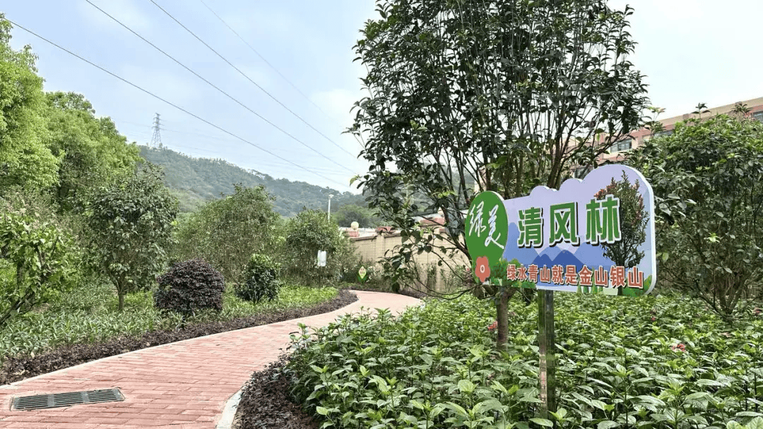 江海：深入推进乡村绿化从一处美到全域美(图1)