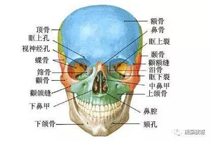 面部颧骨骨折症状图片图片