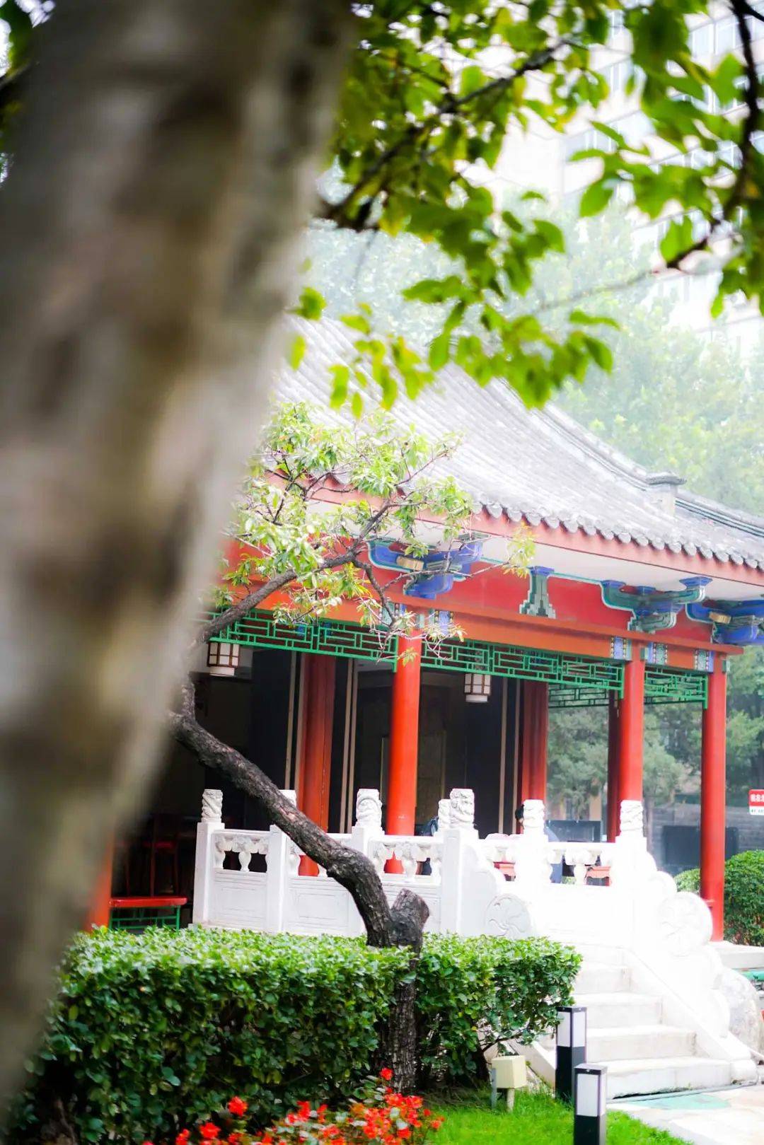 这份高品质商旅酒店榜单将成为您2025宝博体育app商务出行的理想选择(图44)