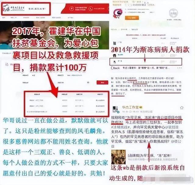 林心如捐款1000万图片