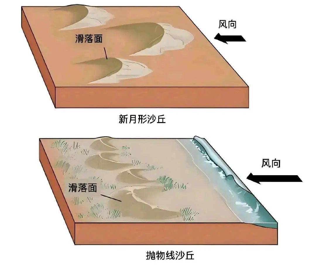 地理辨析沙丘流动沙丘植物线性沙丘含水层隔水层弱透水层