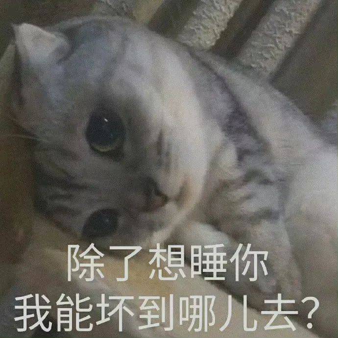 出来色色表情包:你是不是虚了