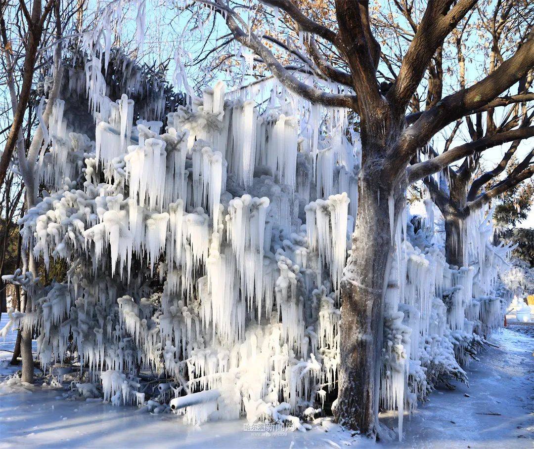 哈尔滨延寿天气今日情况