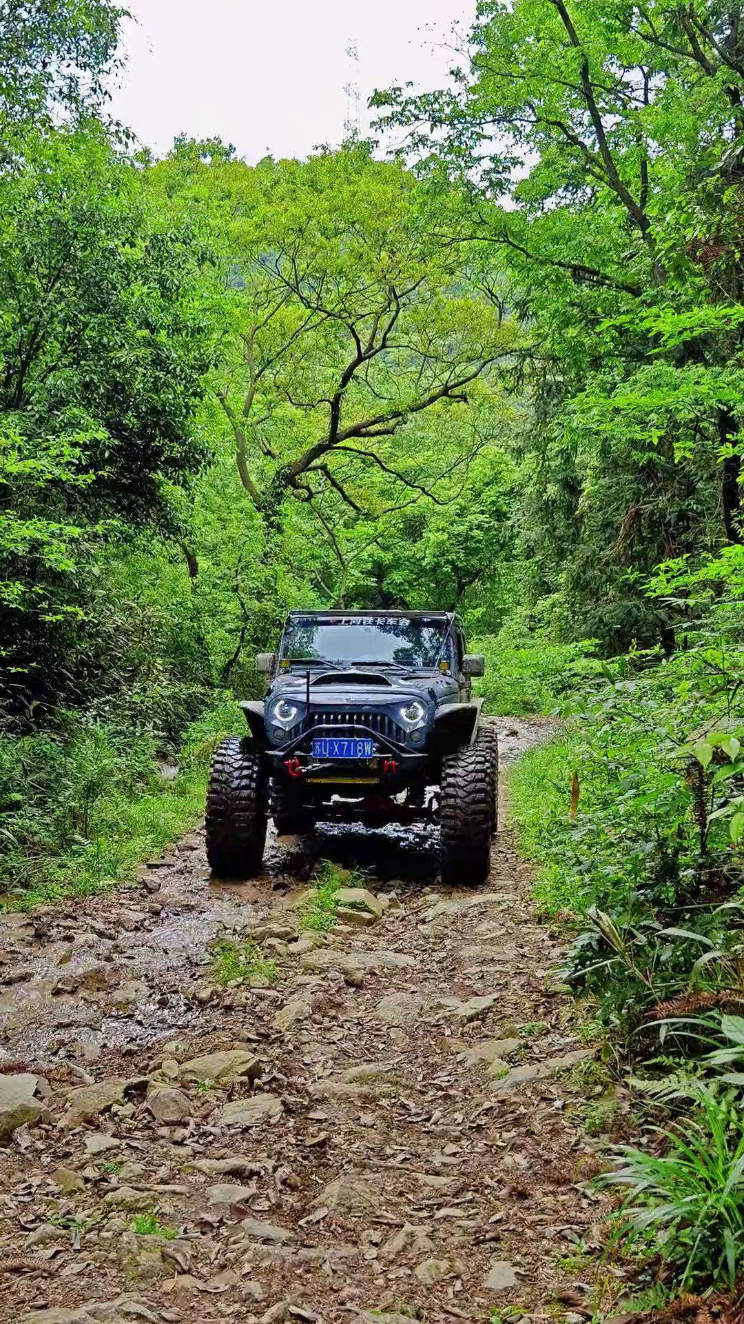 节假日你们往景区钻,我们往山里躲,谁玩的更舒服五一假期 越野人 越野