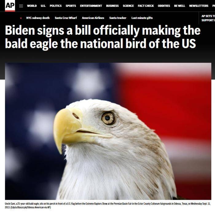 拜登签署法案 正式将白头鹰定为美国国鸟
