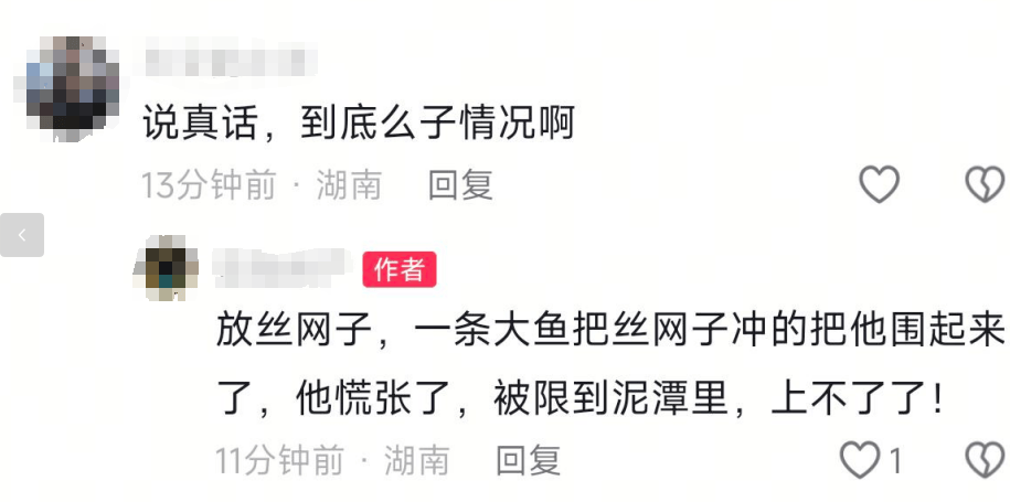 益阳一河中有大鱼把人拖下水吃掉？当地多方辟谣：吃人不实