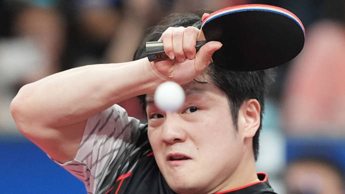 樊振东、陈梦不是“满勤打工仔”！球迷想看的是状态在线的“国乒天花板”