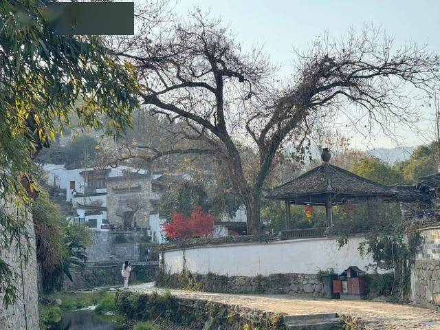 图片[16]-这座古村落是皖南最大古村落，被称为“中华写生第一村” -华闻时空