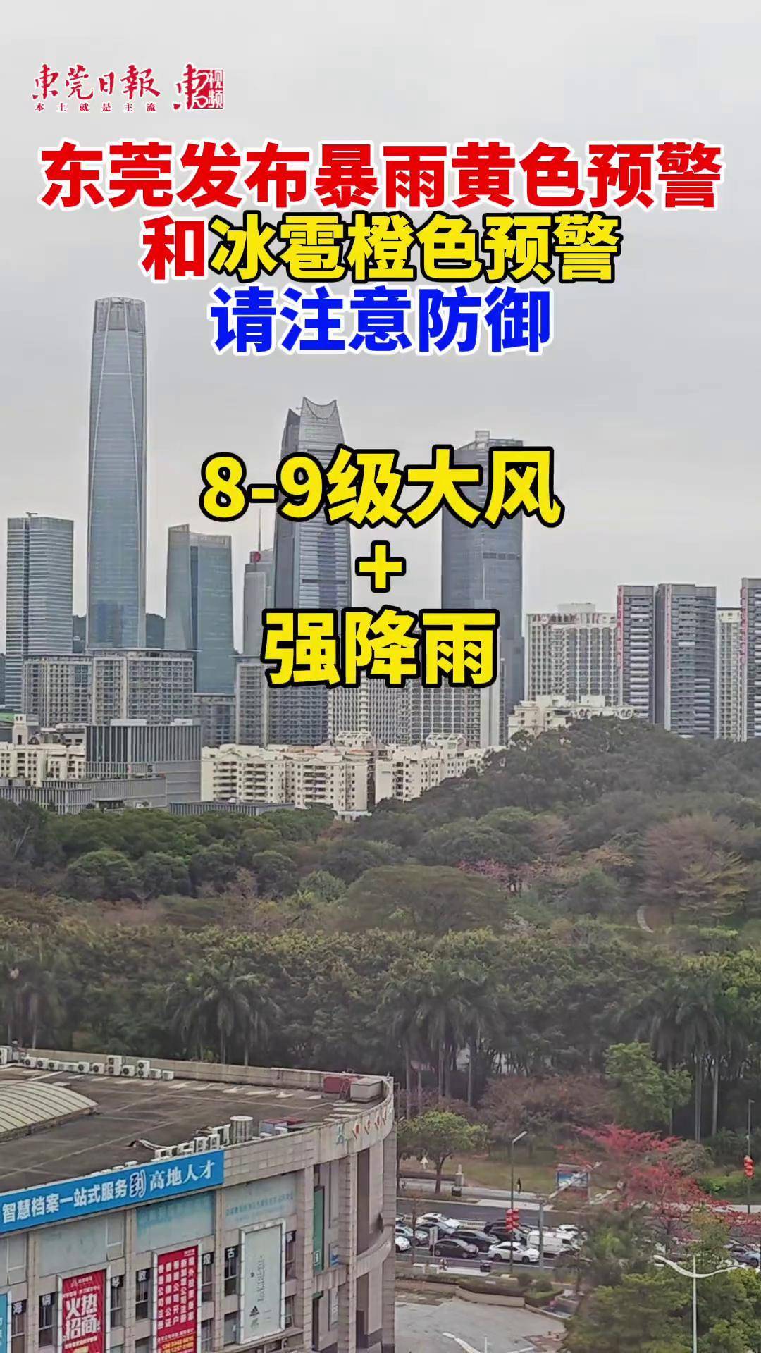 明天东莞天气预报