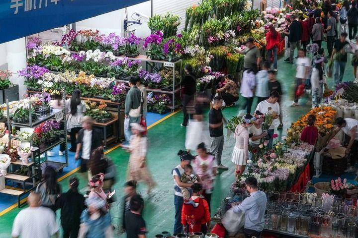 参考消息特6686体育入口稿中外花卉产业合作孕育“花样经济”(图1)