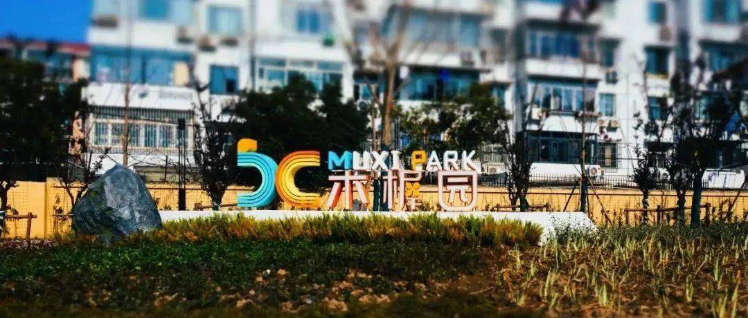 北蔡又一座口袋公园正式开放啦!居民休闲散步又有好去处,位置就在......_乔灌木_城市_北蔡镇