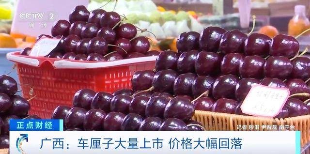 便宜了！广西车厘子大量上市 部分卖到15元一斤