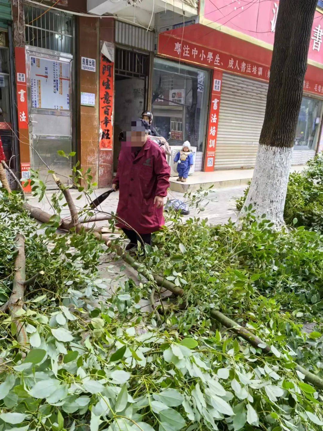 都昌县城管局：查处首例违反《九江市城市绿化管理条例》案