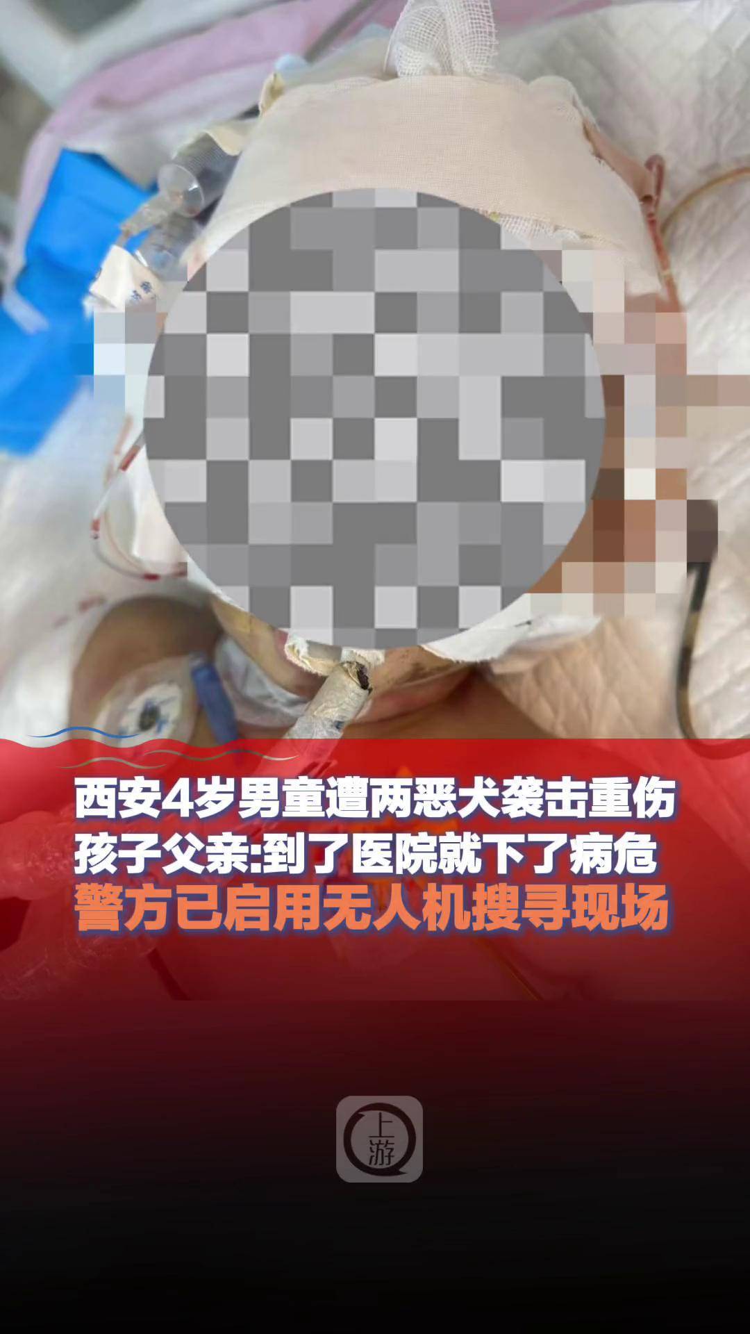 陕西幼儿园惨案图片