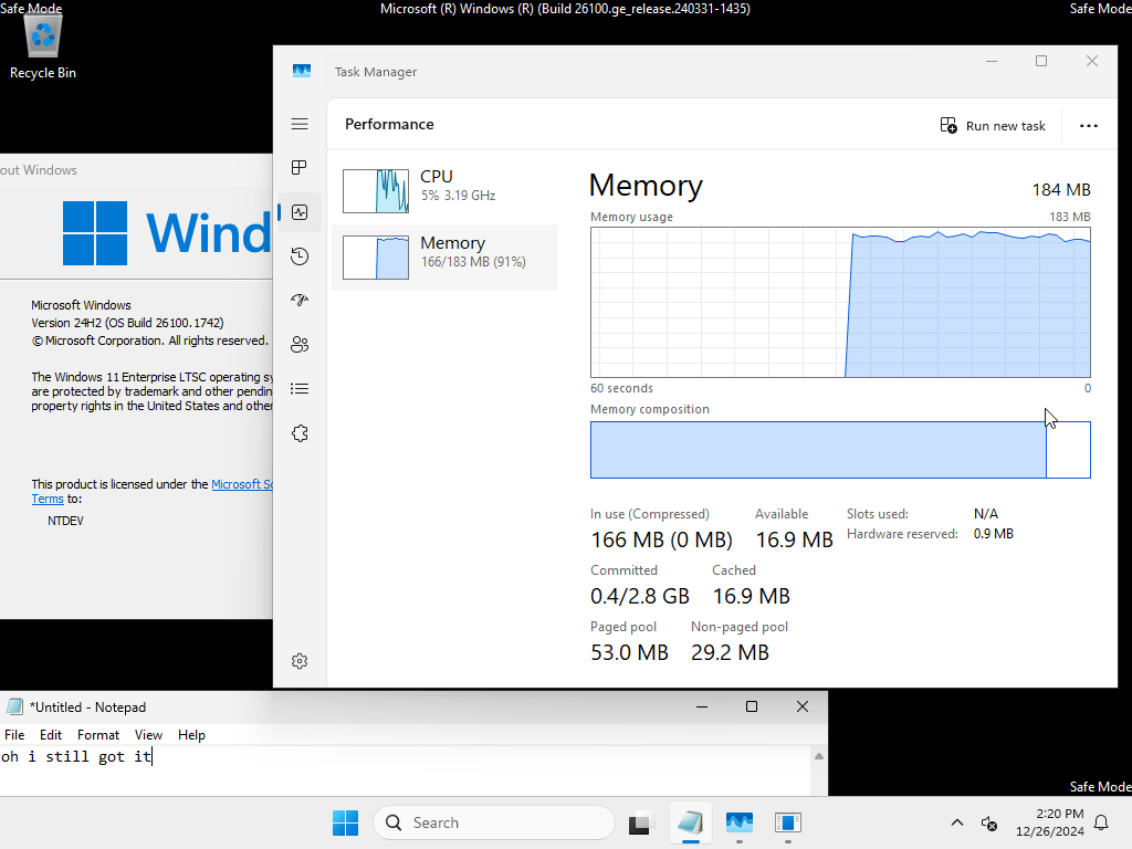  184mb windows 11 tiny ntdev 