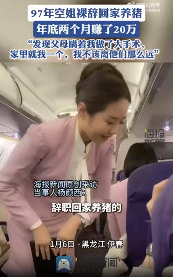 空姐裸辞回黑龙江老家养猪,两个月赚20万,现在每天都很快乐 空姐裸辞回黑龙江老家养猪,两个月赚20万,现在每天都很快乐