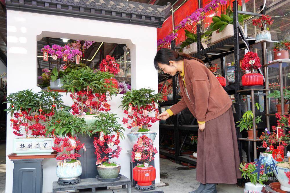 果博平台广州荔湾开启水陆花市盛宴“双花篮”将亮相传统迎春花市｜聚“荔”新发展⑮(图9)