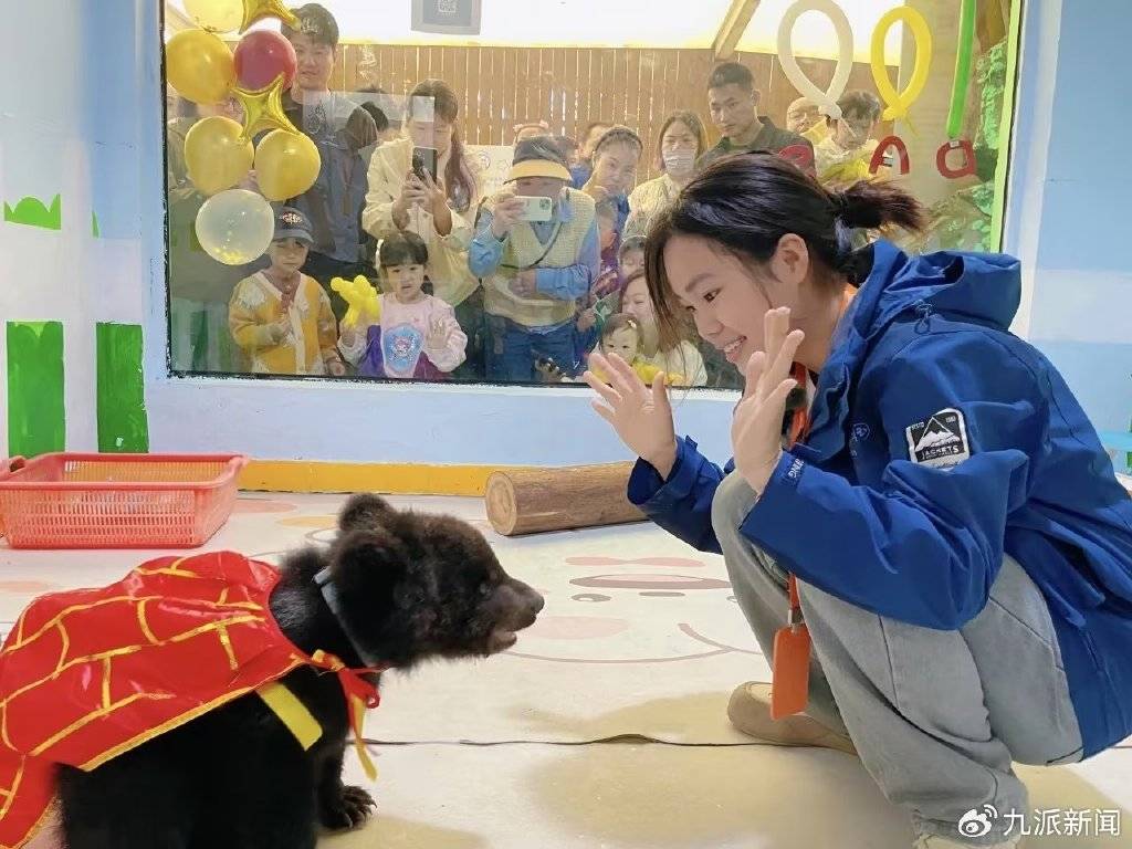 武汉女饲养员与棕熊“打架”引热议，回应：为了它以后更好融入大熊区