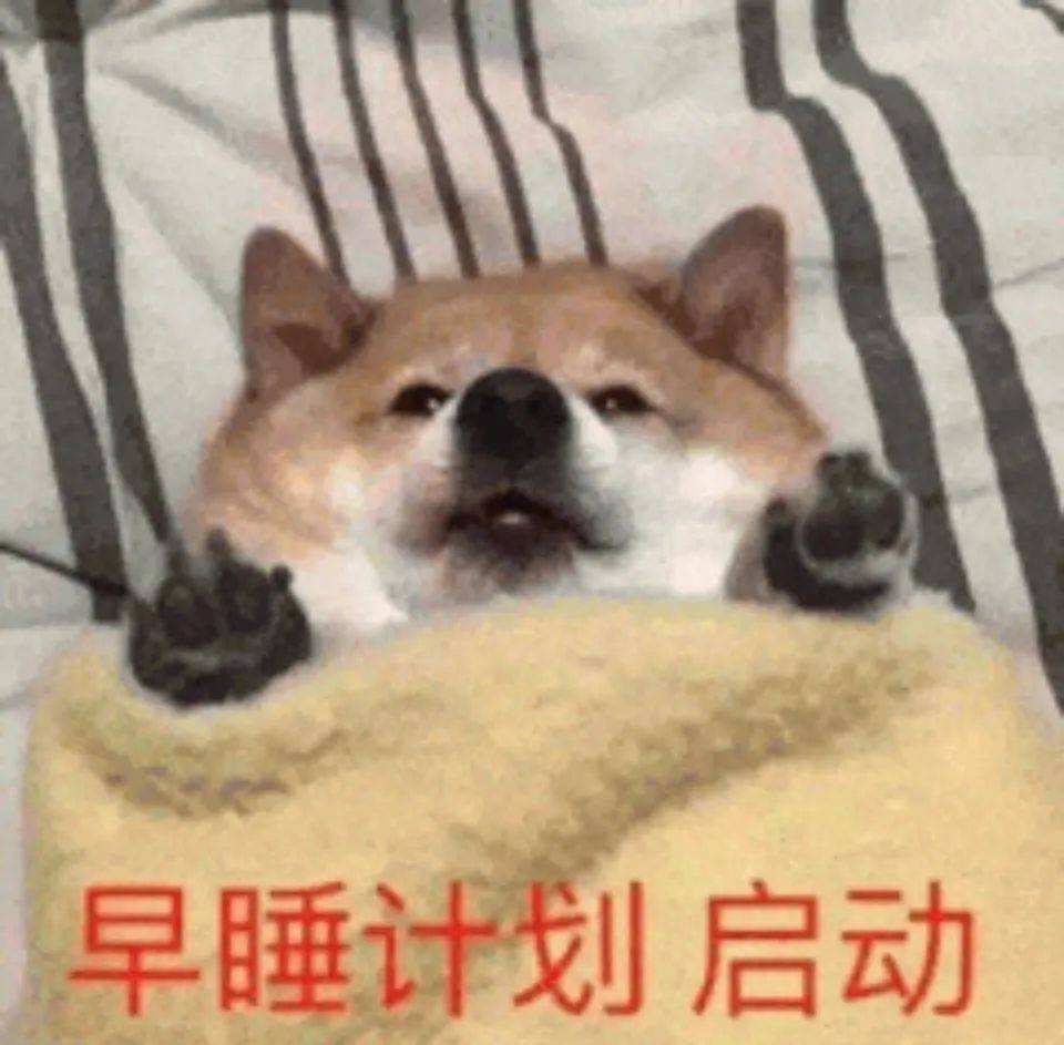 56个晚安表情包大全:睡了吗