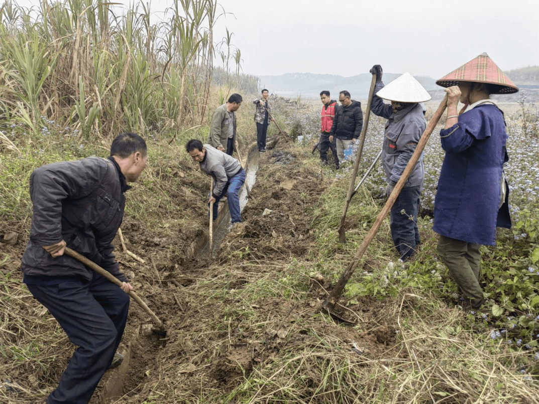 江州镇:清淤疏渠正当时 助力春耕保丰收